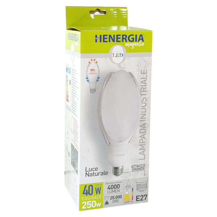 Aoorofitta (9) (24256238)