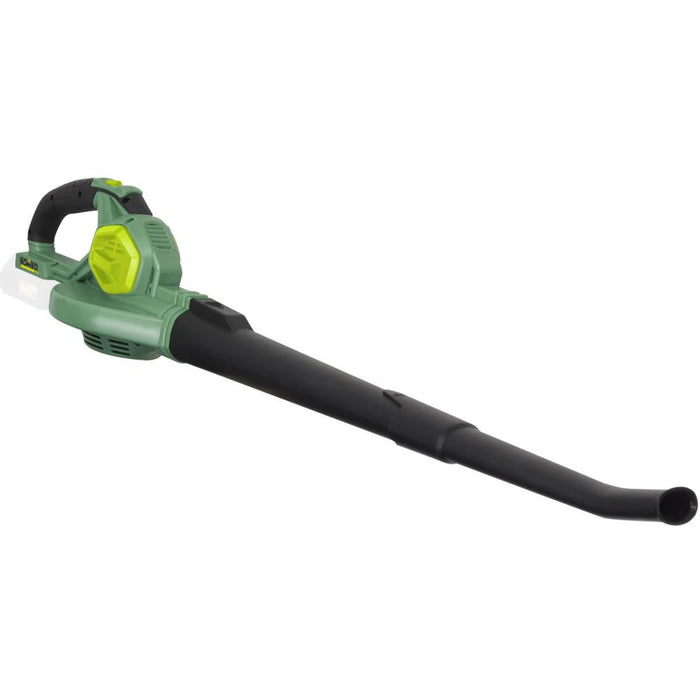 Soffiatore a batteria (24261693)