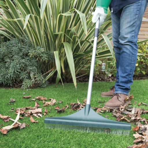 PRATOCLEAN001 (24261072)