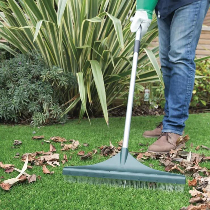 PRATOCLEAN001 (24261072)