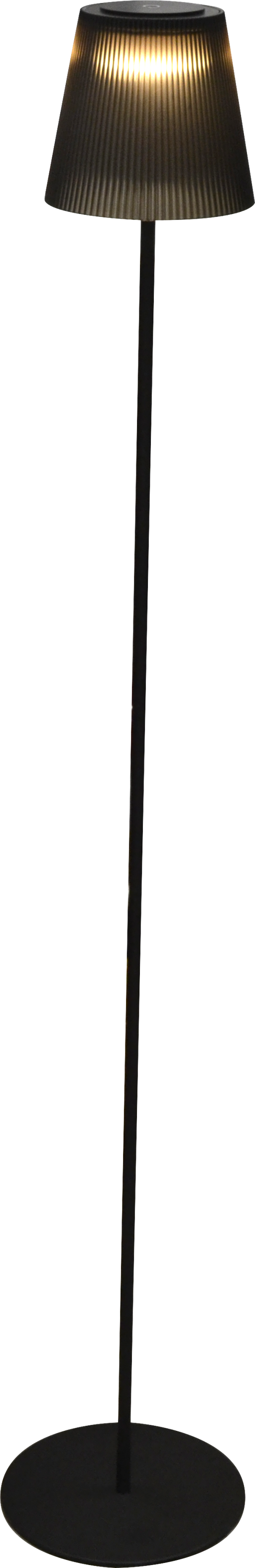 24256044
